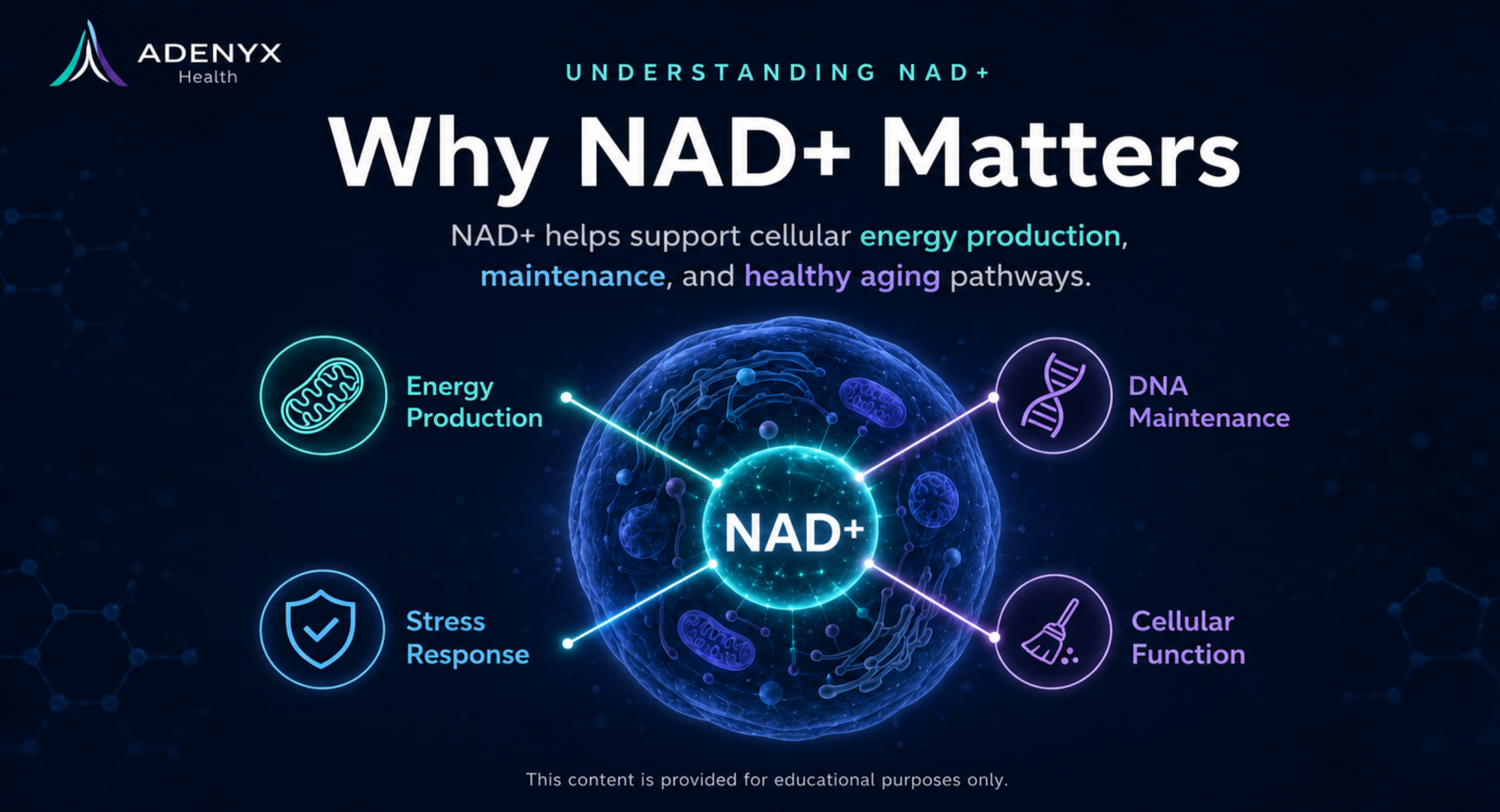 An educational infographic titled 'Why NAD+ Matters' by Adenyx Press, featuring a glowing central NAD+ molecule surrounded by icons and text for Energy Production, DNA Maintenance, Stress Response, and Cellular Function on a dark blue background.